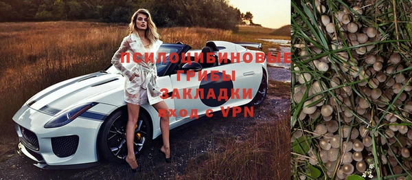 ешки Алексеевка