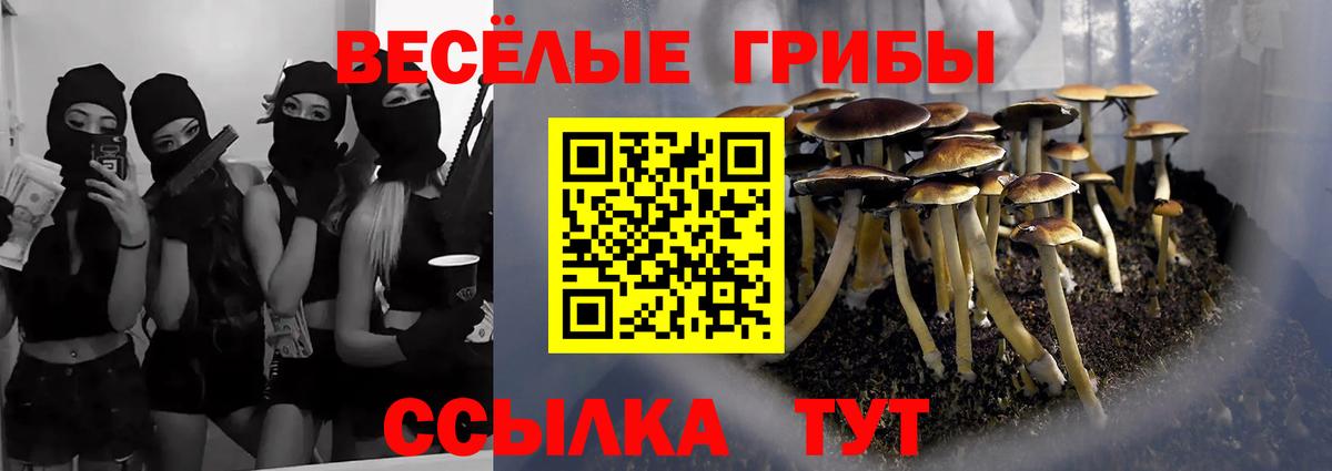 Южно-Сахалинск  Псилоцибиновые грибы MAGIC MUSHROOMS  Вход с VPN 